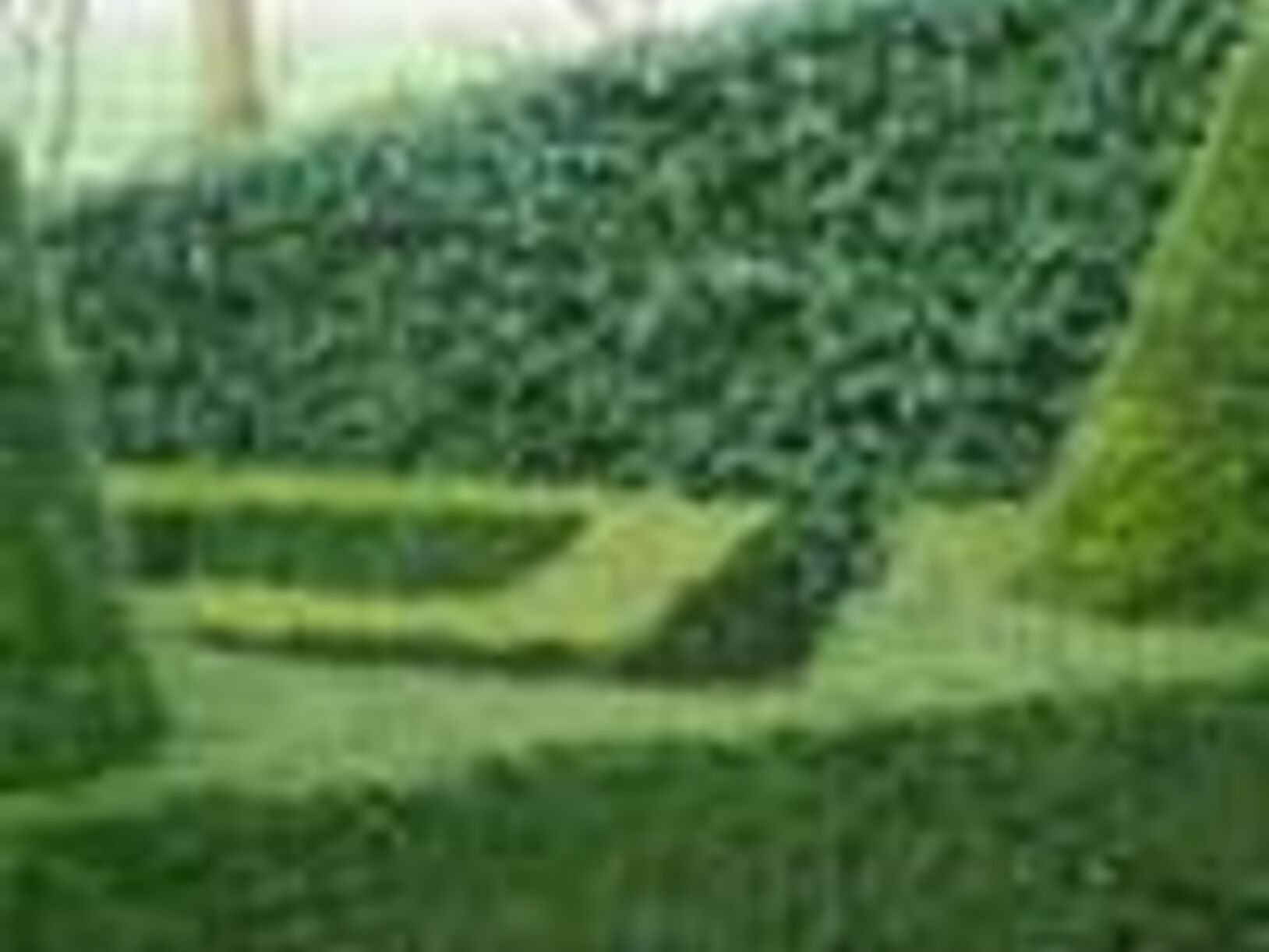 Tuintips voor maart