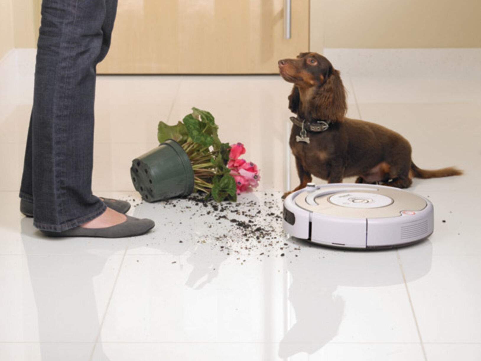iRobot Roomba Pet