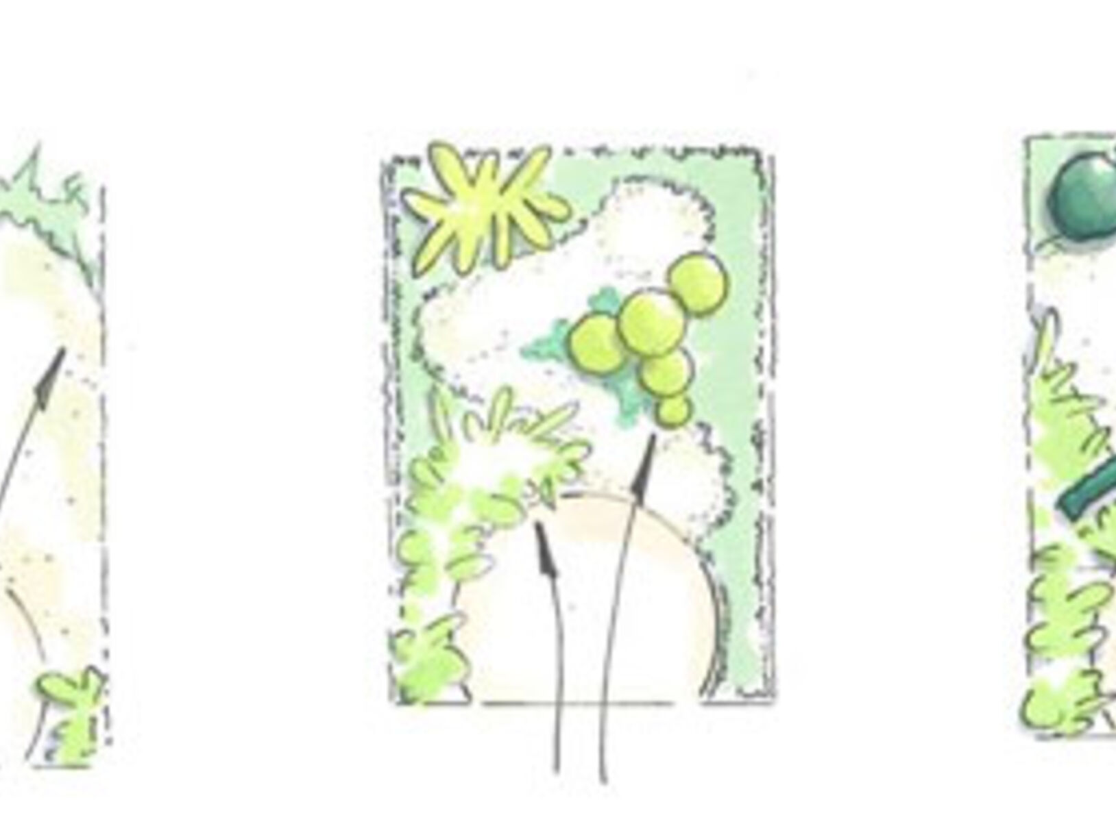 Groenelementen in de tuin