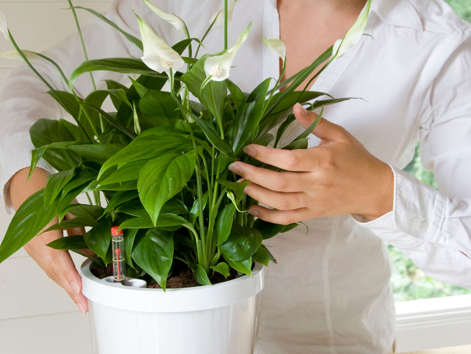 Cavmipot plantenpotten