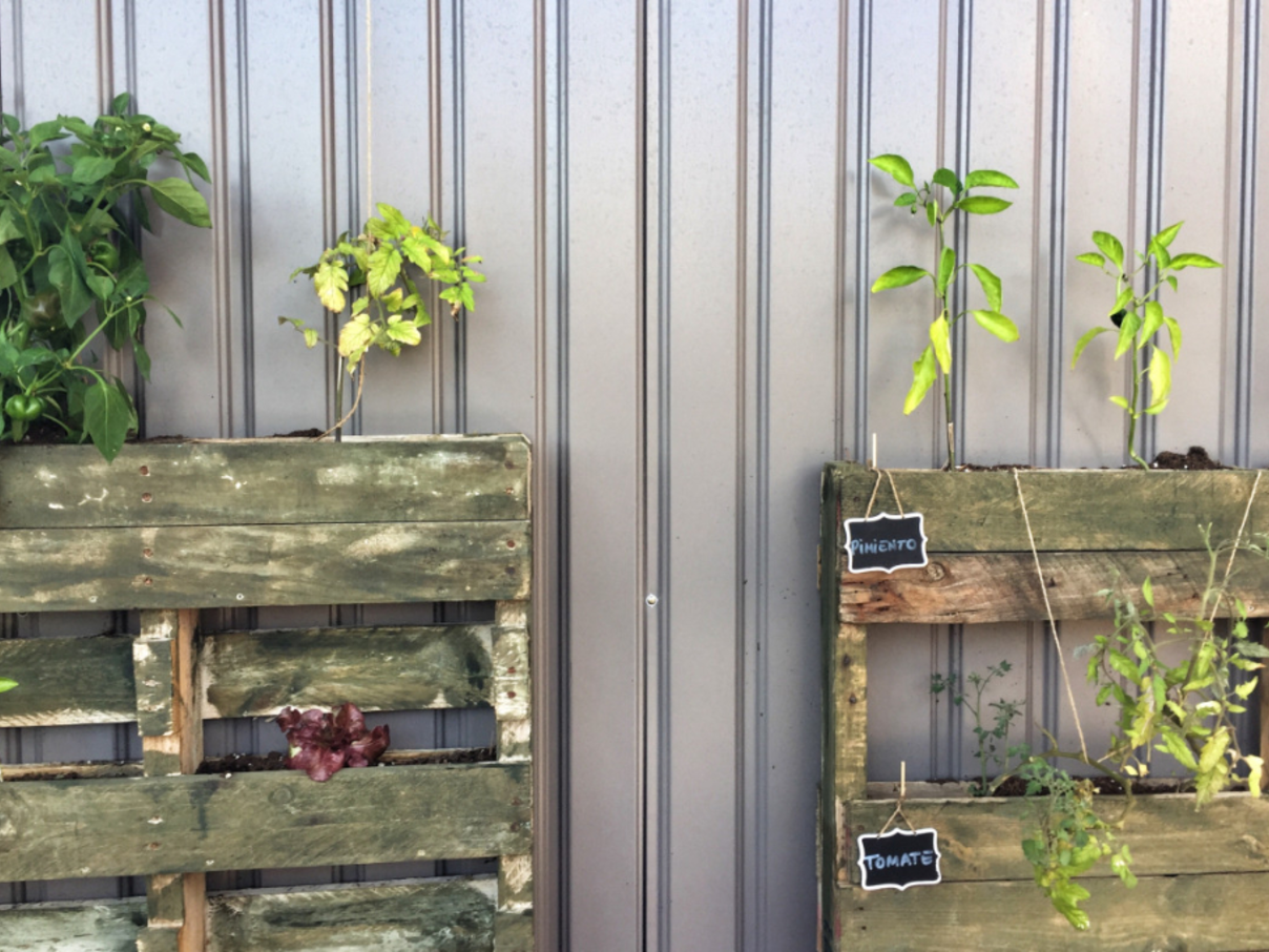 Hoe maak je een verticale tuin met pallets