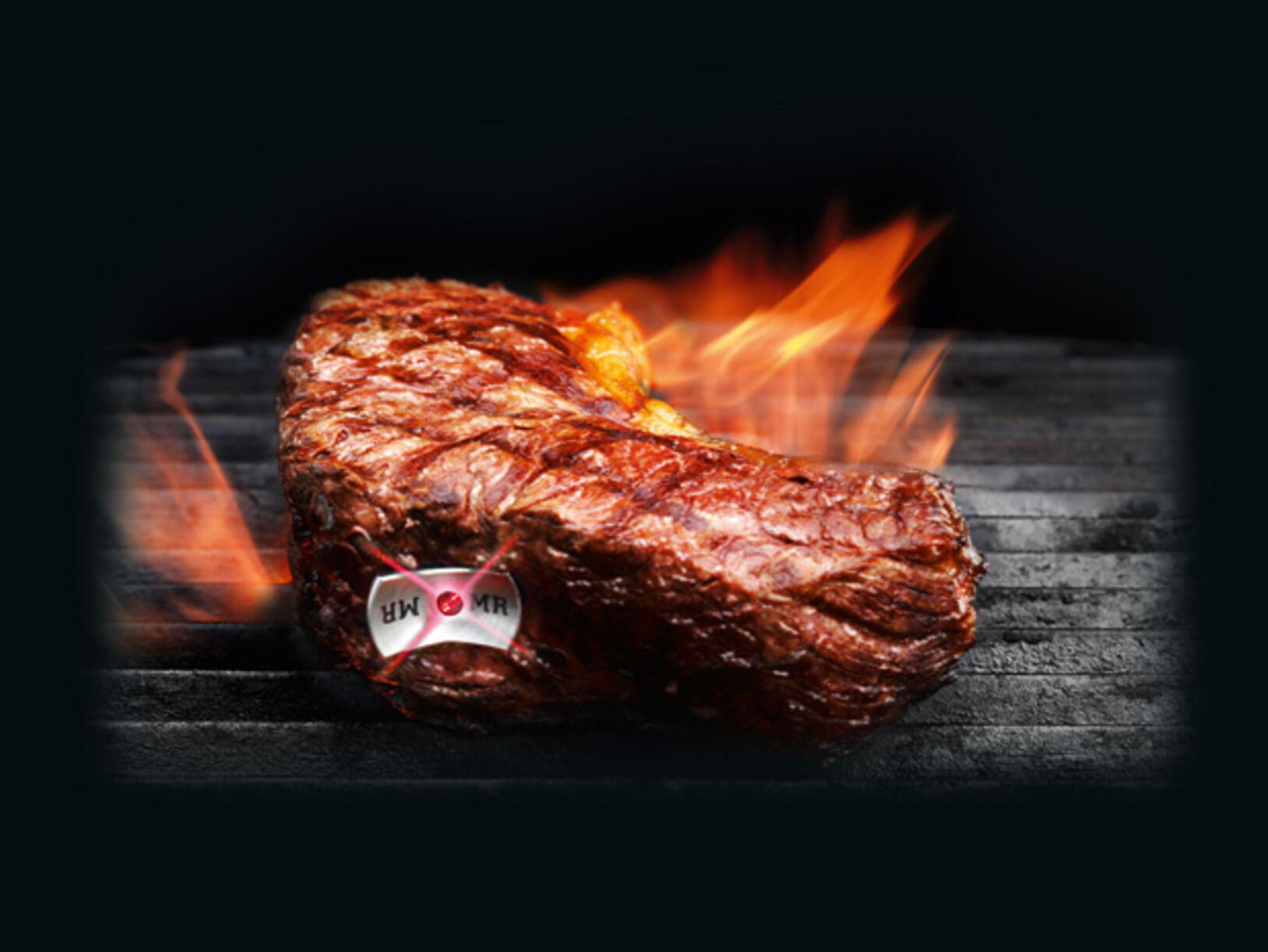 SteakChamp vleesthermometer