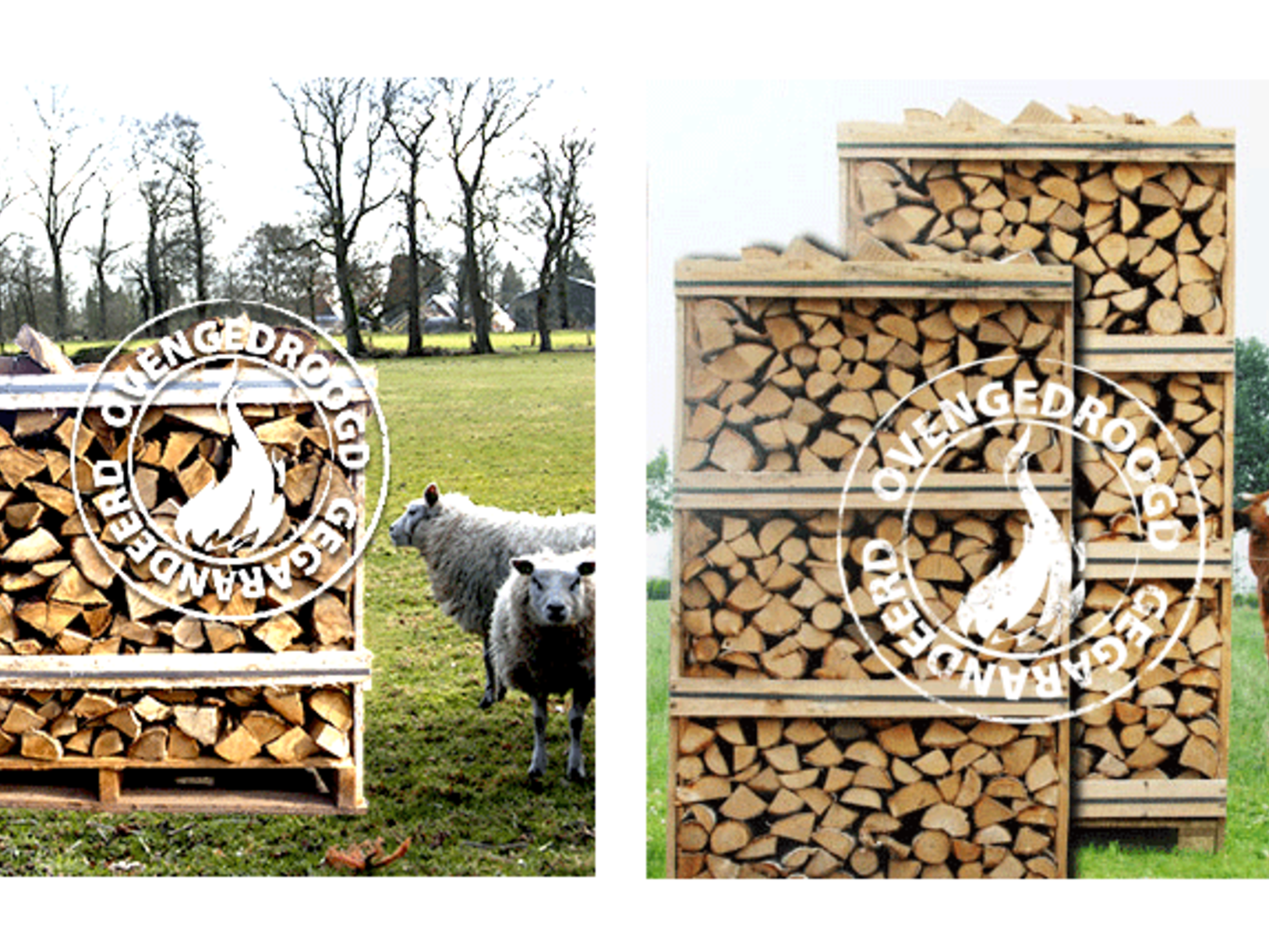 Het beste hout voor uw haard